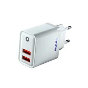 Ronin Xpress R-6050 20W Charger