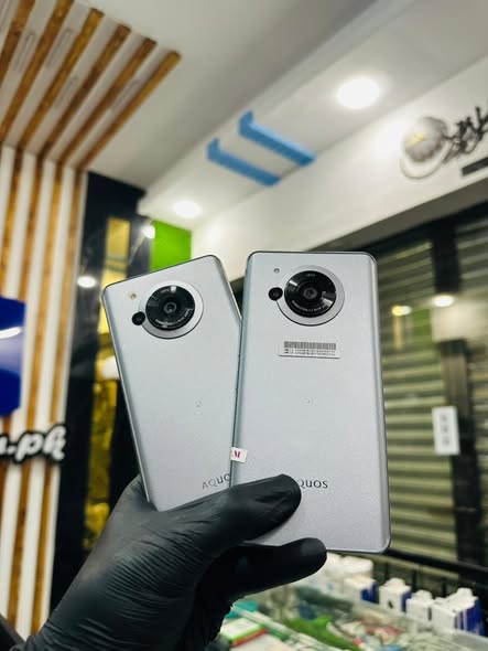 585331479_122325791342000754_477833438385524633_n